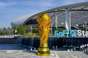 印媒:印度3000万-3500万美元敲定世界杯版权,FIFA下调了要价配图
